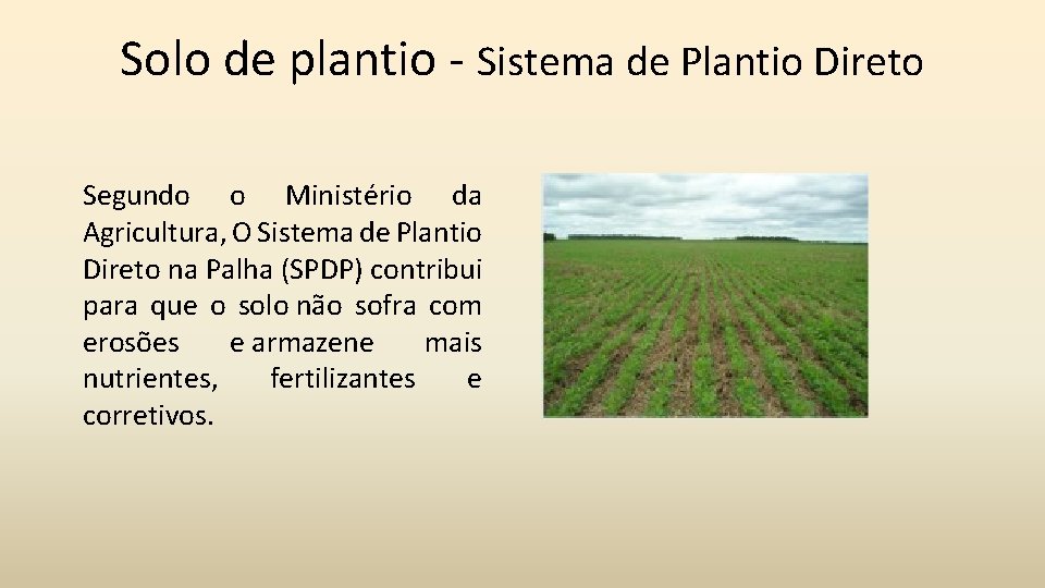 Solo de plantio - Sistema de Plantio Direto Segundo o Ministério da Agricultura, O