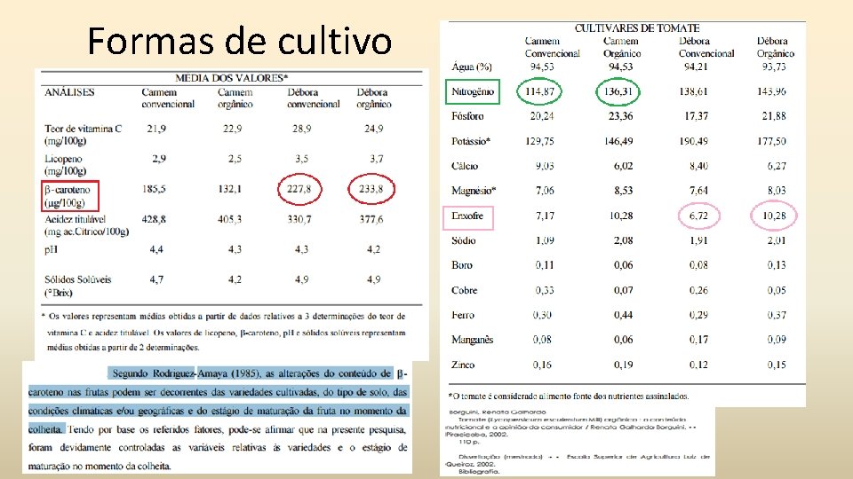 Formas de cultivo 