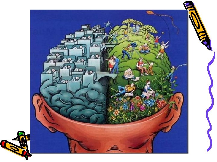 CEREBRO HOLOGRAFICO CEREBRO HOLOGRAFICO