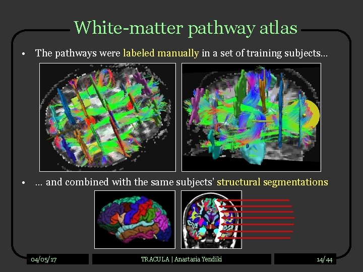 White-matter pathway atlas • The pathways were labeled manually in a set of training