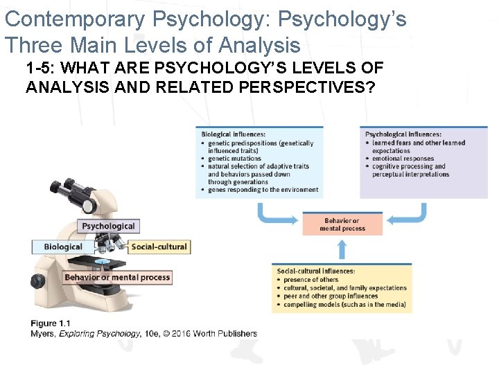 Contemporary Psychology: Psychology’s Three Main Levels of Analysis 1 -5: WHAT ARE PSYCHOLOGY’S LEVELS