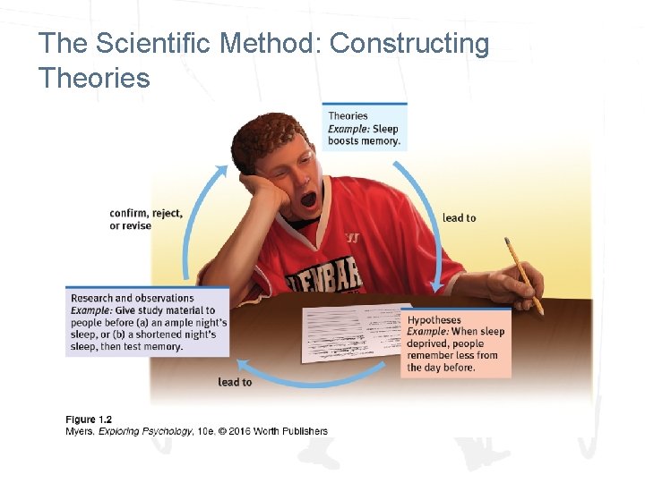 The Scientific Method: Constructing Theories 