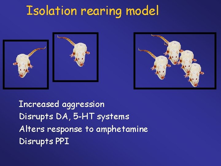 Isolation rearing model Increased aggression Disrupts DA, 5 -HT systems Alters response to amphetamine