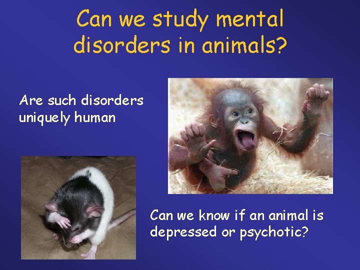 Can we study mental disorders in animals? Are such disorders uniquely human Can we