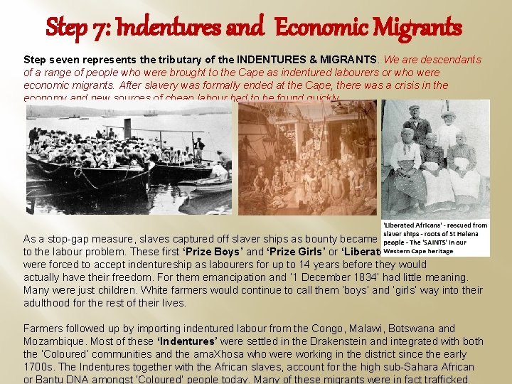 Step 7: Indentures and Economic Migrants Step seven represents the tributary of the INDENTURES