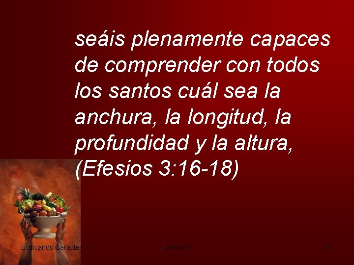 seáis plenamente capaces de comprender con todos los santos cuál sea la anchura, la
