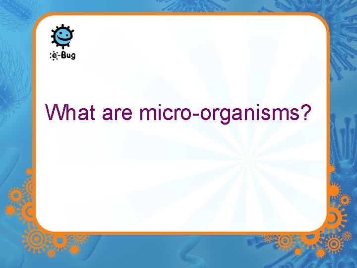What are micro-organisms? 