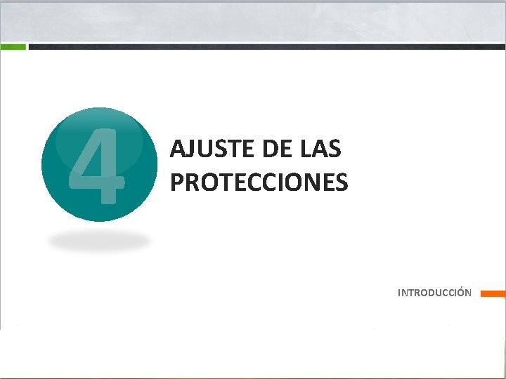 4 AJUSTE DE LAS PROTECCIONES INTRODUCCIÓN 