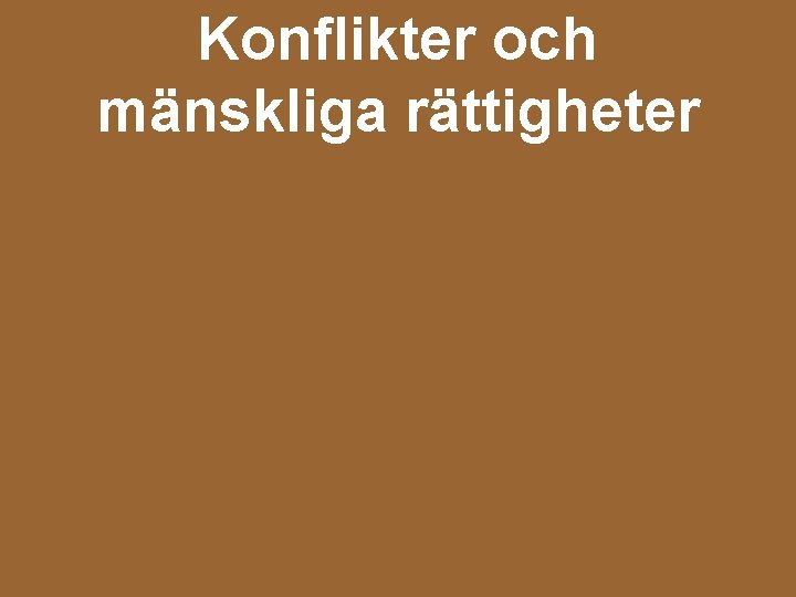 Konflikter och mänskliga rättigheter 