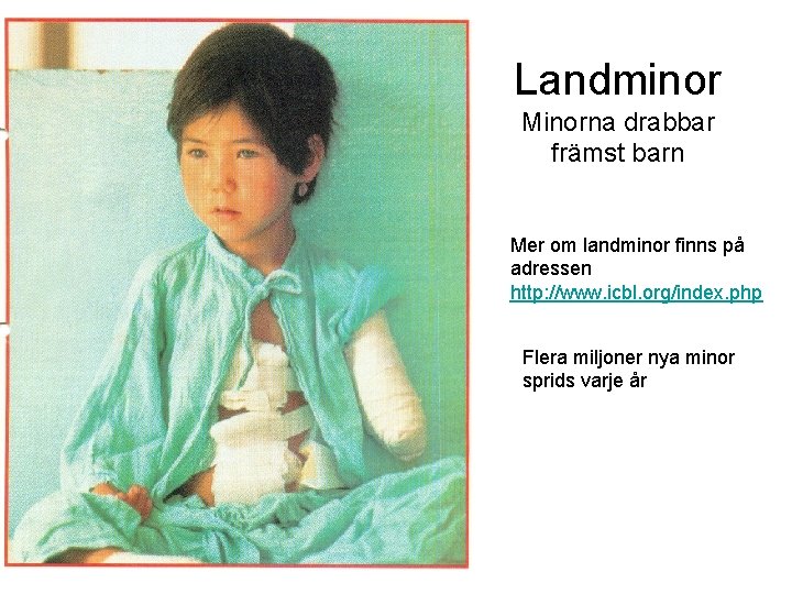 Landminor Minorna drabbar främst barn Mer om landminor finns på adressen http: //www. icbl.