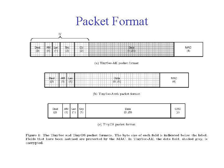 Packet Format 