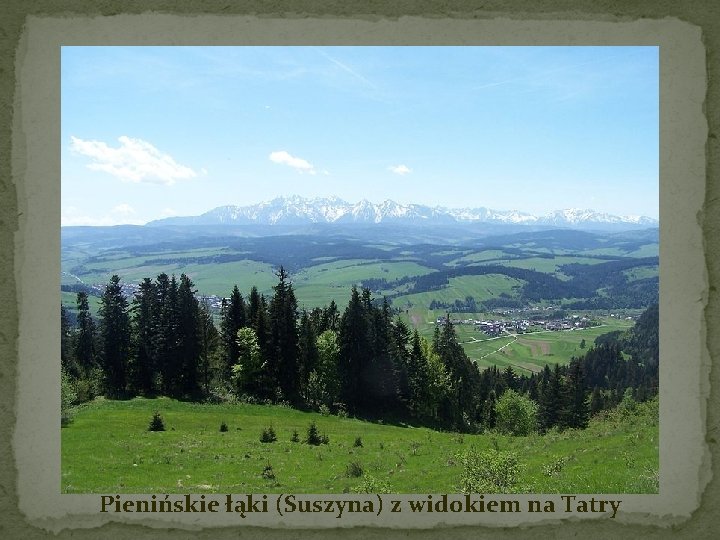 Pienińskie łąki (Suszyna) z widokiem na Tatry 