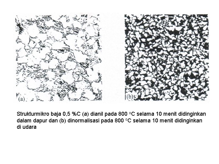 Strukturmikro baja 0, 5 %C (a) dianil pada 800 o. C selama 10 menit