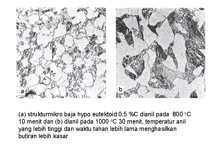 a b (a) strukturmikro baja hypo eutektoid 0, 5 %C dianil pada 800 o.