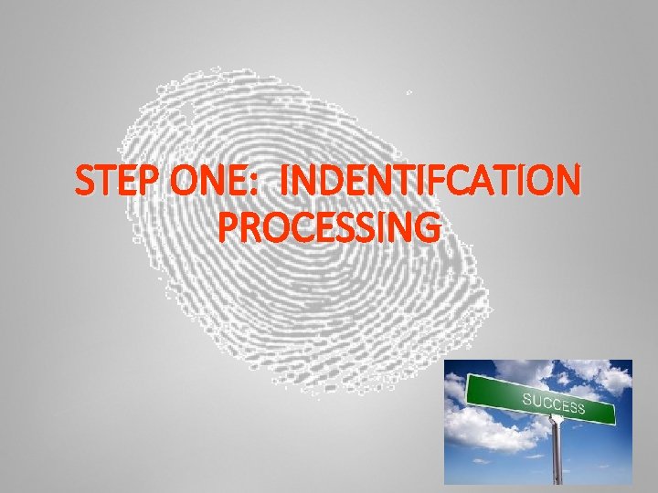 STEP ONE: INDENTIFCATION PROCESSING 4 