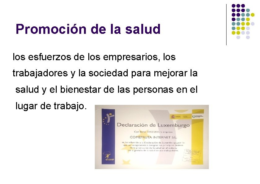 Promoción de la salud los esfuerzos de los empresarios, los trabajadores y la sociedad