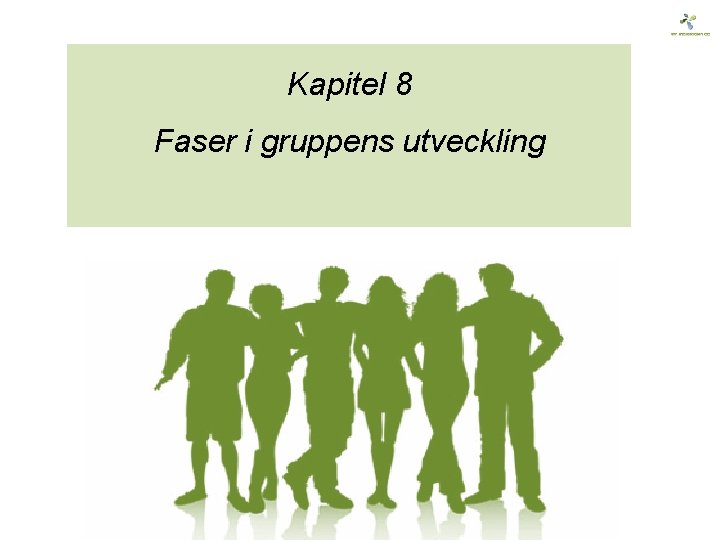 Kapitel 8 Faser i gruppens utveckling 