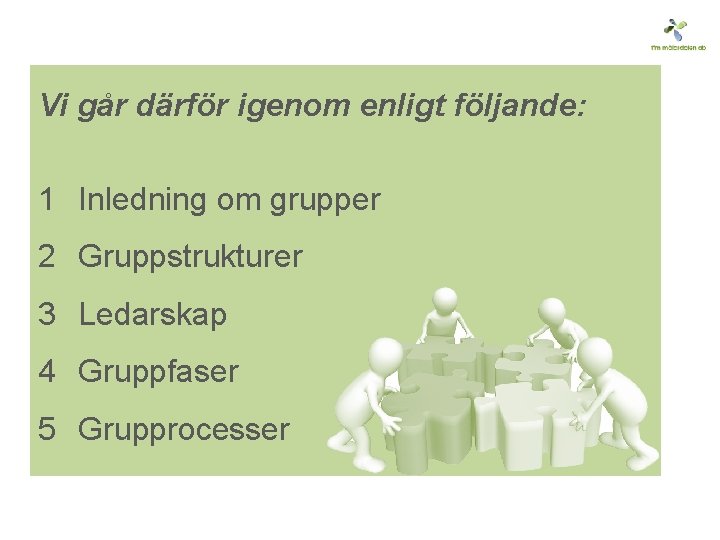 Vi går därför igenom enligt följande: 1 Inledning om grupper 2 Gruppstrukturer 3 Ledarskap