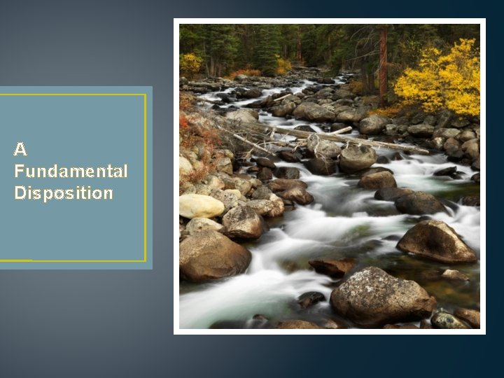 A Fundamental Disposition A Fundamental Disposition