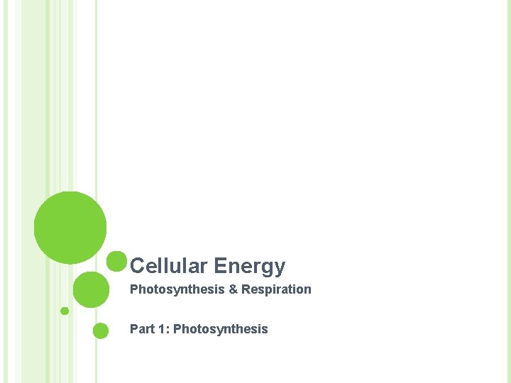 Cellular Energy Photosynthesis & Respiration Part 1: Photosynthesis 