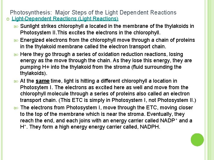 Photosynthesis: Major Steps of the Light Dependent Reactions ¢ Light-Dependent Reactions (Light Reactions) Sunlight