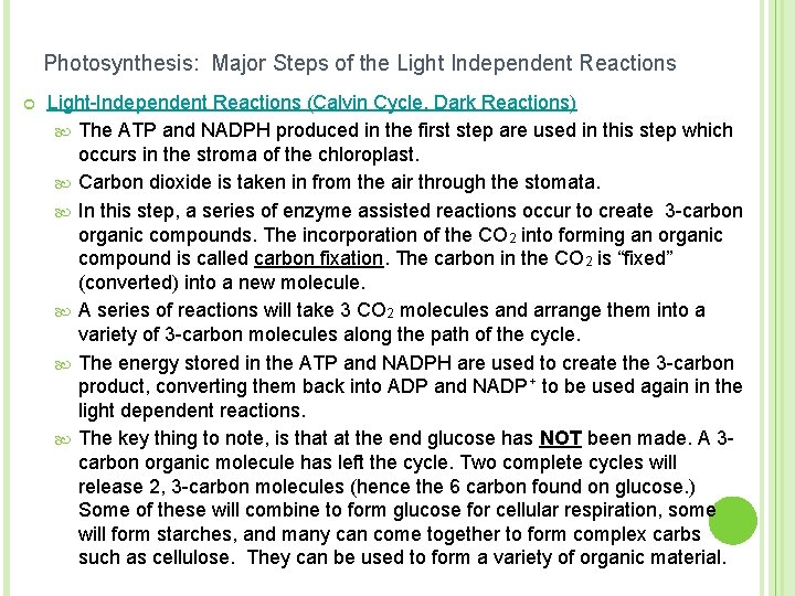 Photosynthesis: Major Steps of the Light Independent Reactions ¢ Light-Independent Reactions (Calvin Cycle, Dark