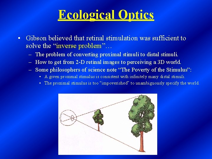 Ecological Optics • Gibson believed that retinal stimulation was sufficient to solve the “inverse