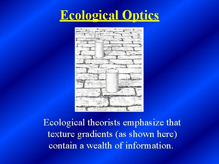 Ecological Optics Ecological theorists emphasize that texture gradients (as shown here) contain a wealth