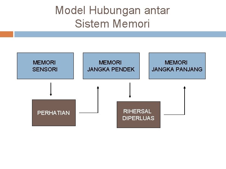 Model Hubungan antar Sistem Memori MEMORI SENSORI PERHATIAN MEMORI JANGKA PENDEK MEMORI JANGKA PANJANG