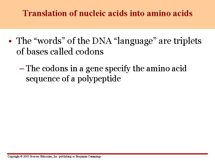 Translation of nucleic acids into amino acids • The “words” of the DNA “language”