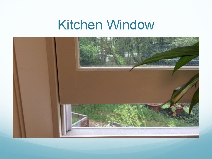 Kitchen Window 