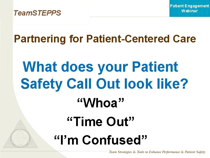 Patient Engagement Webinar Team. STEPPS Partnering for Patient-Centered Care What does your Patient Safety