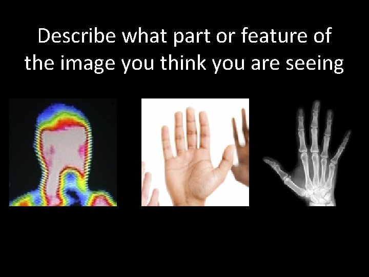 Describe what part or feature of the image you think you are seeing 