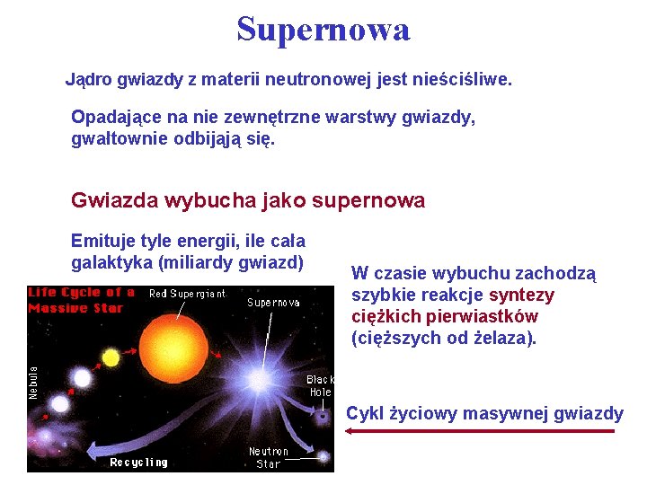 Supernowa Jądro gwiazdy z materii neutronowej jest nieściśliwe. Opadające na nie zewnętrzne warstwy gwiazdy,