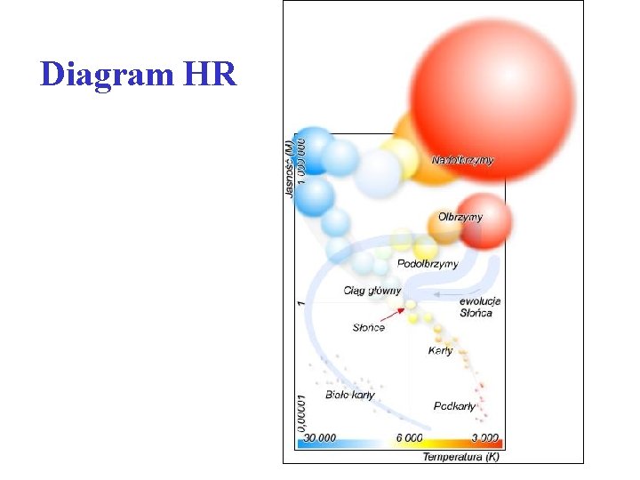 Diagram HR 