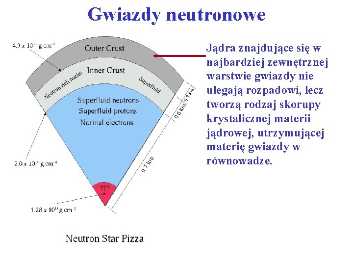Gwiazdy neutronowe Jądra znajdujące się w najbardziej zewnętrznej warstwie gwiazdy nie ulegają rozpadowi, lecz