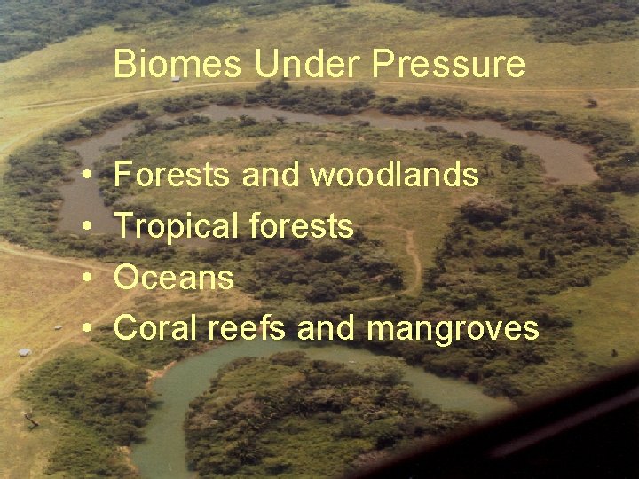 Biomes Under Pressure • • Forests and woodlands Tropical forests Oceans Coral reefs and