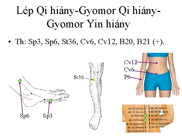 Lép Qi hiány-Gyomor Qi hiány- Gyomor Yin hiány • Th: Sp 3, Sp 6,