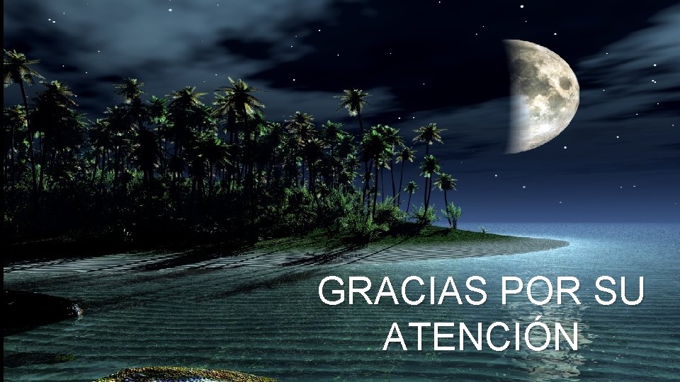 GRACIAS POR SU ATENCIÓN 