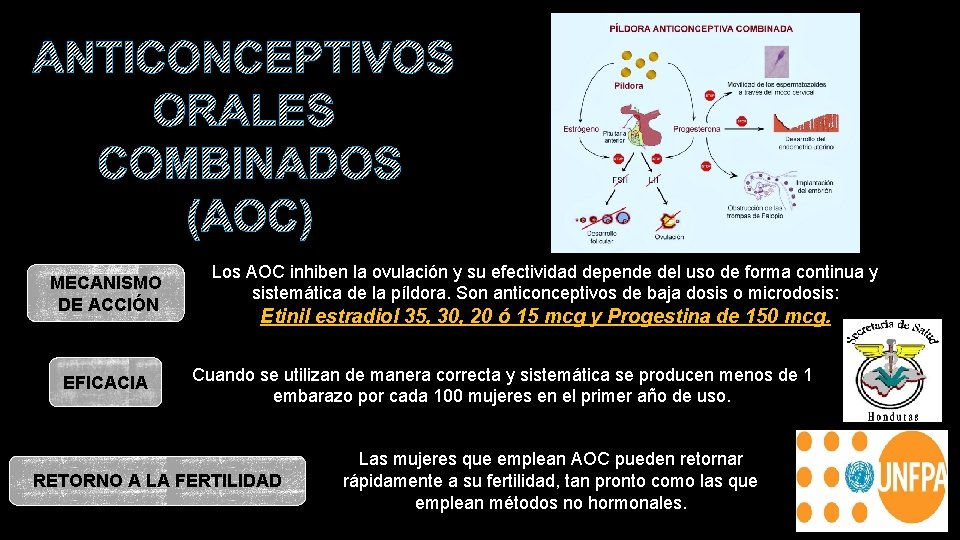 ANTICONCEPTIVOS ORALES COMBINADOS (AOC) MECANISMO DE ACCIÓN EFICACIA Los AOC inhiben la ovulación y