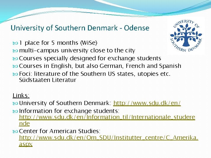 University of Southern Denmark - Odense 1 place for 5 months (Wi. Se) multi-campus