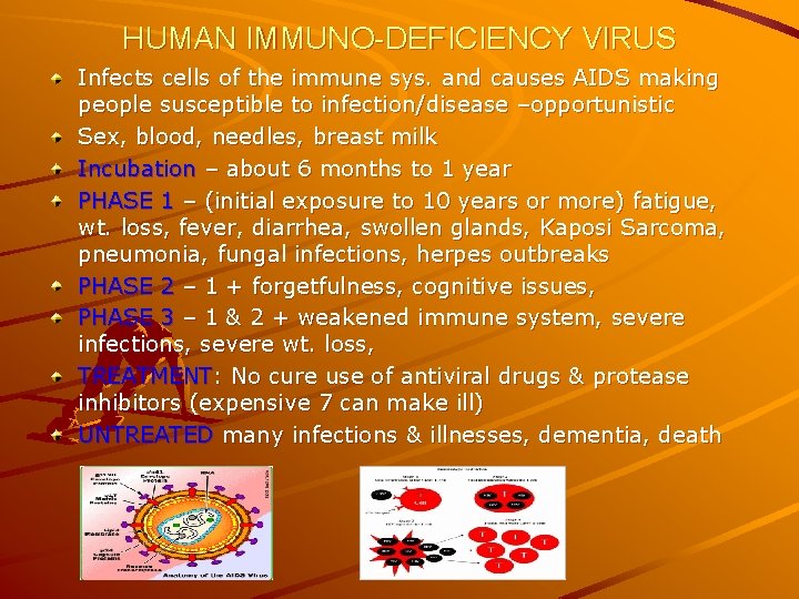 HUMAN IMMUNO-DEFICIENCY VIRUS Infects cells of the immune sys. and causes AIDS making people