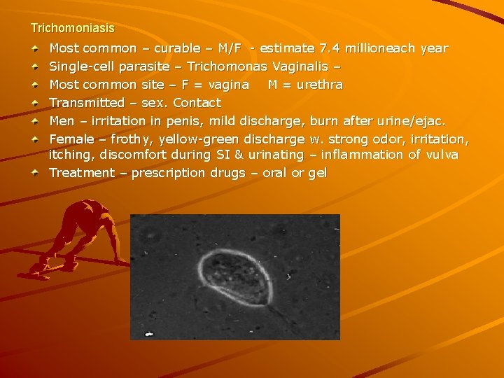 Trichomoniasis Most common – curable – M/F - estimate 7. 4 millioneach year Single-cell
