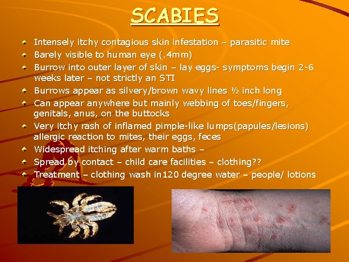 SCABIES Intensely itchy contagious skin infestation – parasitic mite Barely visible to human eye