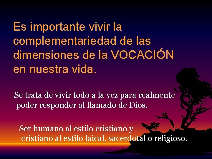 Es importante vivir la complementariedad de las dimensiones de la VOCACIÓN en nuestra vida. Es importante vivir la complementariedad de las dimensiones de la VOCACIÓN en nuestra vida.