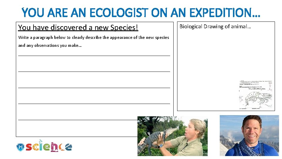YOU ARE AN ECOLOGIST ON AN EXPEDITION… You have discovered a new Species! Write