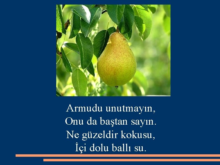 Armudu unutmayın, Onu da baştan sayın. Ne güzeldir kokusu, İçi dolu ballı su. 