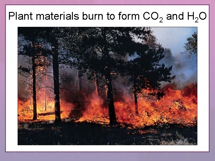 Plant materials burn to form CO 2 and H 2 O 