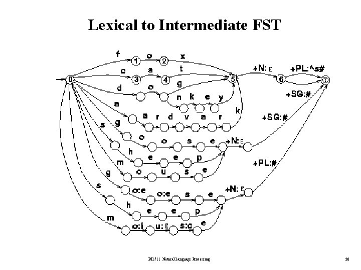 Lexical to Intermediate FST BİL 711 Natural Language Processing 20 