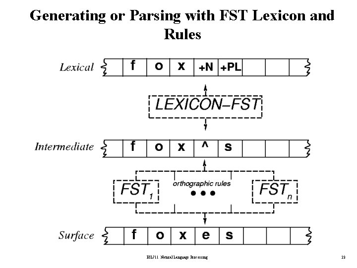 Generating or Parsing with FST Lexicon and Rules BİL 711 Natural Language Processing 23